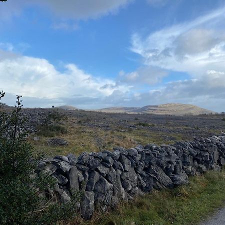 Burren Garden Glamping Hut Villa Boston Bagian luar foto