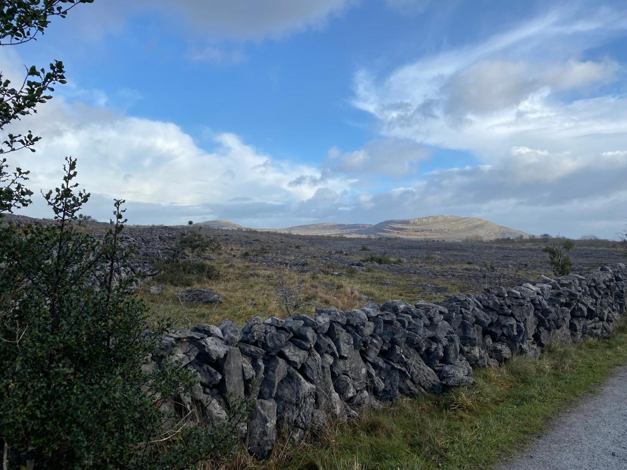Burren Garden Glamping Hut Villa Boston Bagian luar foto